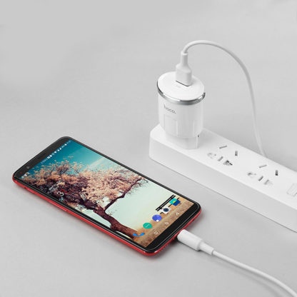 Prémium minőségű HOCO hálozati töltő C37A 1xUSB 2,4A 12W plusz USB Type C kábel - Image 6
