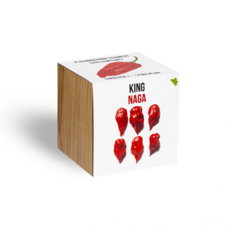 King Naga chili paprika növényem fa kaspóban