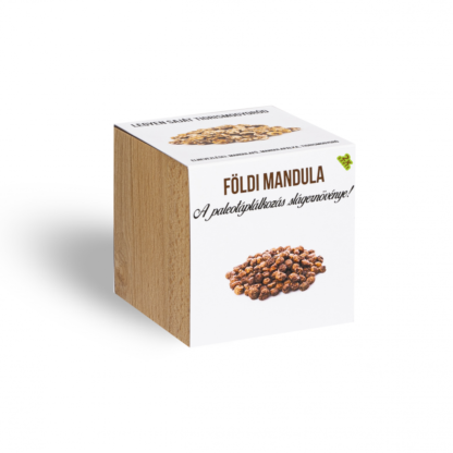 Földimandula - Tigrismogyoró - növényem fa kaspóban