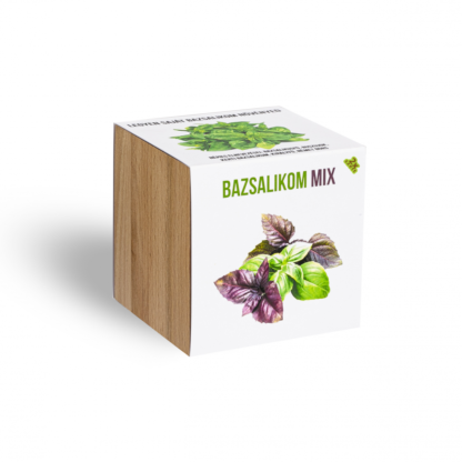 Bazsalikom mix növényem fa kaspóban