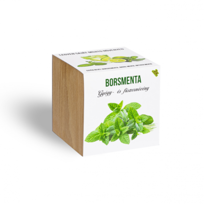 Borsmenta növényem fa kaspóban
